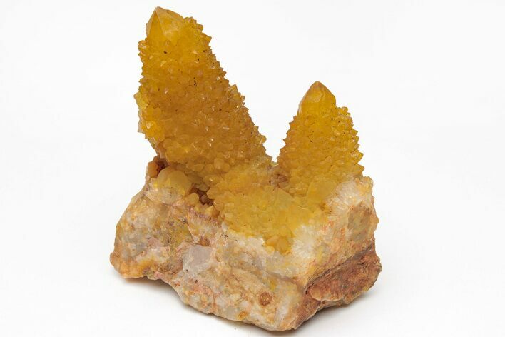 Sunshine Cactus Quartz Crystal Cluster - South Africa #212660